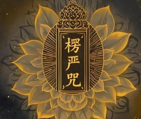 开云体育官方-\wY皮=咒
